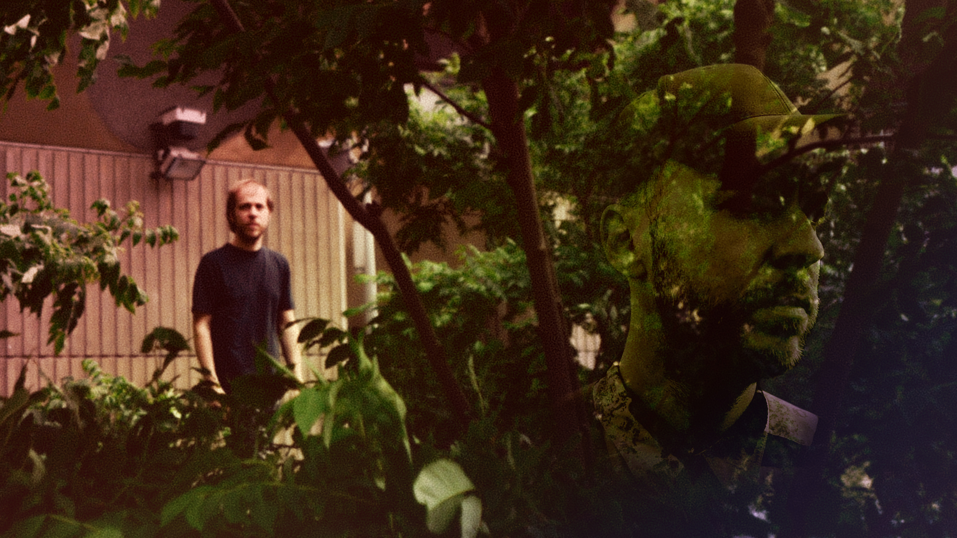 nico-nature